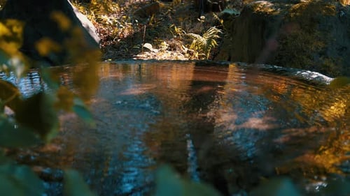 wunderschöner Wasserfall im Wald