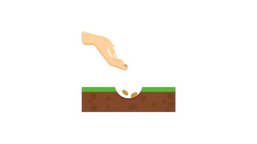 Seeds Agriculture