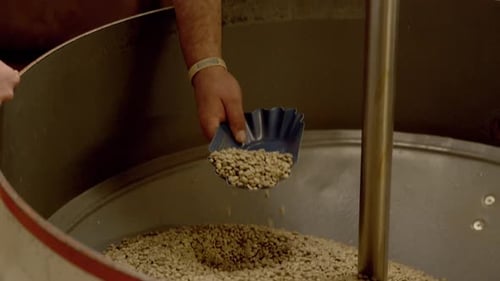 Worker checking quality of coffee beans before roasting, motion close up shot