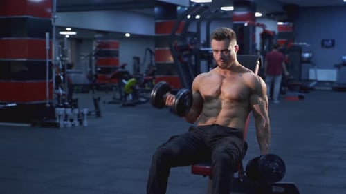 Professional bodybuilder exercising in gym. Shirtless muscular athlete training his muscles