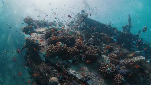 Unterwasseransicht des Schiffswracks im tropischen Meer auf den Malediven