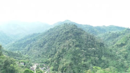 Aerial footage of green forest mountain