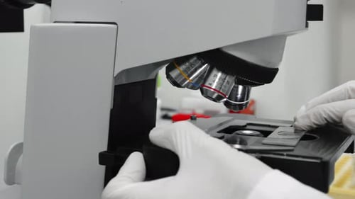 Close up of lab scientist positioning glass slice to look through microscope