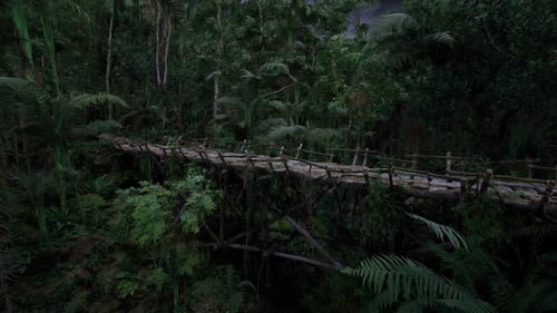 Rugged Suspended Bridge Offering Panoramic Forest Views and Excitement
