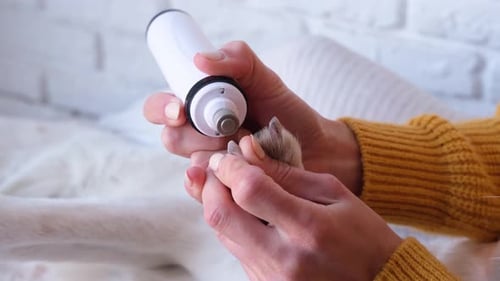 meuleuse à ongles électrique entre les mains d'une propriétaire de chienne coupée en train de polir les griffes du chien