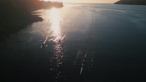 Group of Kayaks are Training Before a Competition Top View