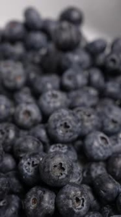 Vertical Video of Fresh Blueberries 87