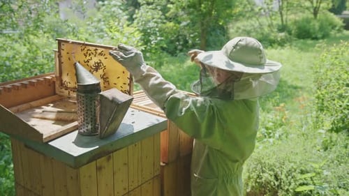 Beekeeper Inspecting Beehive in Summer Countryside