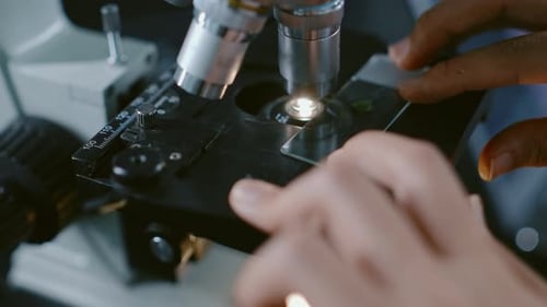 Hands of Female Biologist Placing Glass with Green Sprout under Microscope