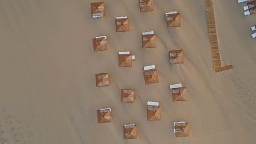 Sun Umbrellas Beach Chairs on Tropical Resort Aerial Top View Parasols Loungers
