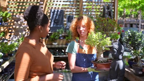 Garden Center Employee Showing Bonsai to Customer