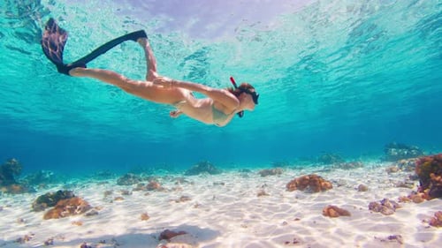 Freediver in Bikini Sexy Woman Freediver Swims Underwater in the Tropical Sea Over the Coral Reef