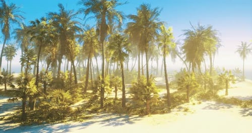 Sun-Drenched Tropical Palm Trees on a Sandy Beach