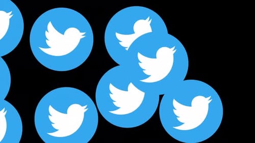 Twitter Social Media Icons Transition Alpha Channel