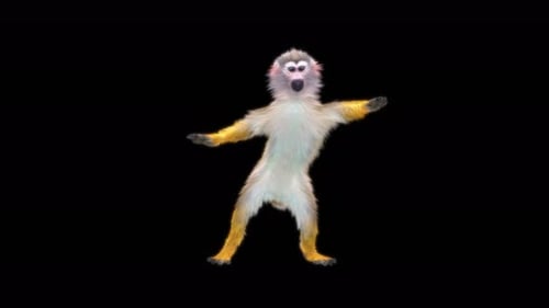 42 Monkey Dance 4K