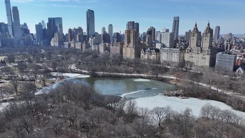 Central Park. Downtown District. Nature Park Aerial View. Highrise Buildings Landscape.