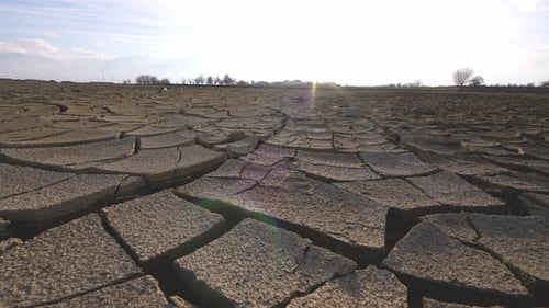 Cracked Earth in a Parched, Arid Landscape