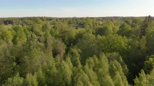 Fast aerial over the forests of the Latvia Kurzeme on a sunny afternoon
