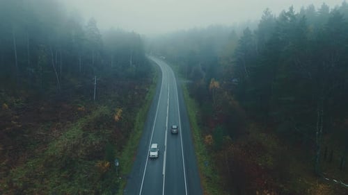 Driving Through Misty Woods on a Winding Road in the Autumn Season
