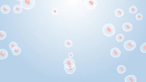 Animated Biological Cells Flowing in Microscopic Science Loop