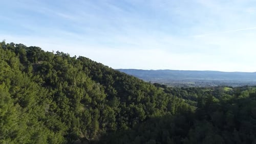 Lush Green Landscape By Aerial Drone