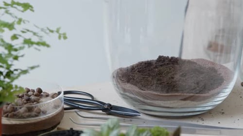 A young female botanist creates a tiny live forest ecosystem in a huge glass jar - leveling the main