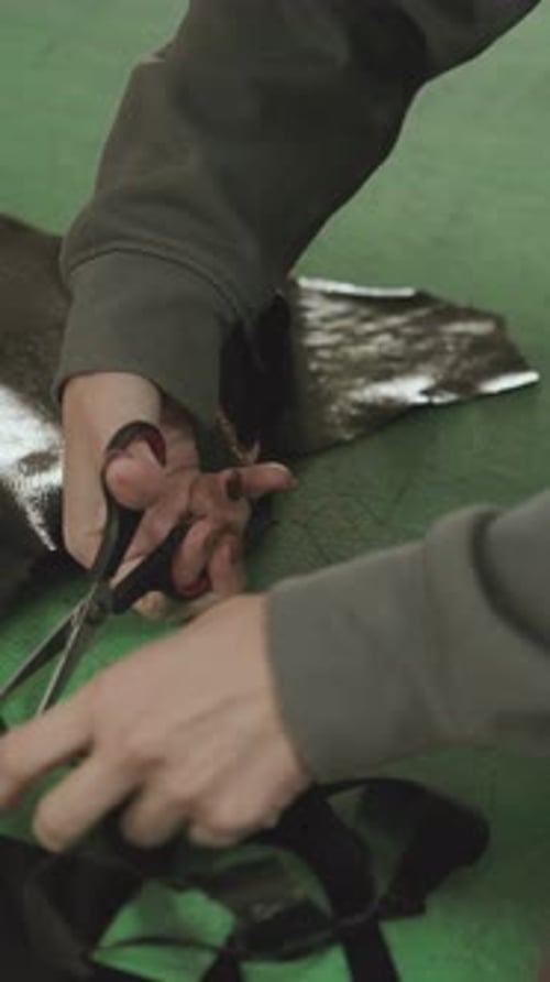 vertical closeup of leather cutting process in shoe factory