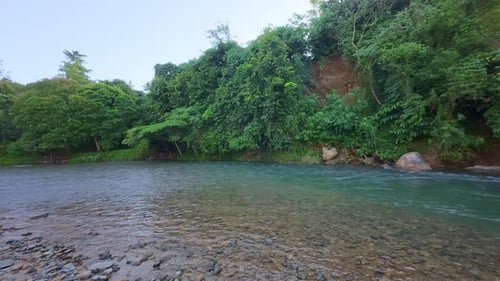Peaceful River Flowing Through Lush Greenery
