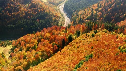 Trilhas turísticas selvagens em vales alpinos profundos com vegetação abundante