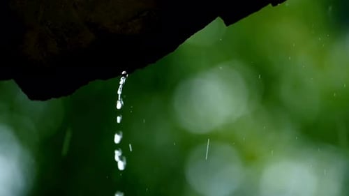 Water Drop Falling