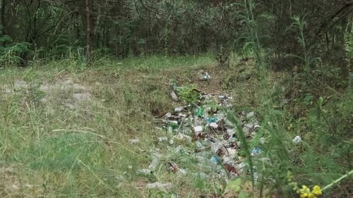Illegal Garbage Dump of Plastic and Bottles in the Forest Pit