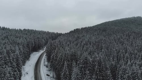 Estrada de montanha de inverno cercada por árvores nevadas