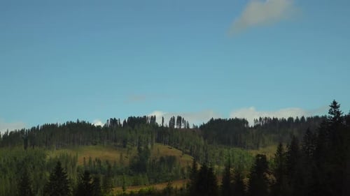 Timelapse of cloud shadows moving over opean meadows on mountains in forest wilderness