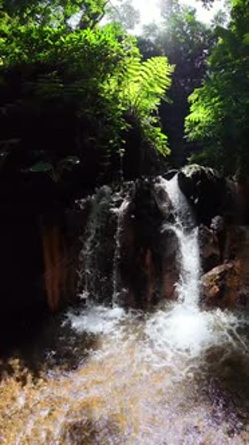 Jungle Waterfall with Sunlight Dauin Negros Oriental Philippines