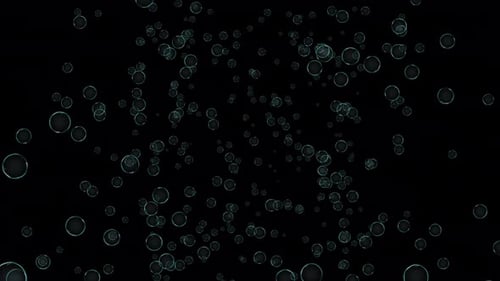 White Bubble Explosion. Burst of Soap Bubbles. Bubble Shape Particle Blast. Alpha Channel