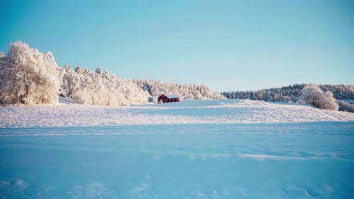 Winter Landscape With Snow Covered Trees and House