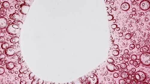 Abstract Red Bubbles Over White Background