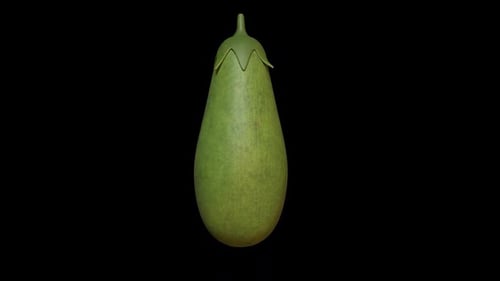 Green Eggplant rotates