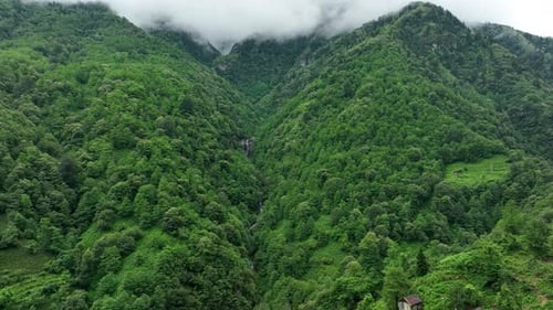 Montagnes boisées vertes de la mer Noire orientale en Turquie 2