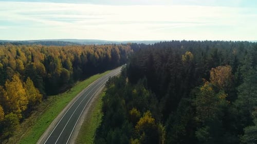 Road in the Autumn Forest
