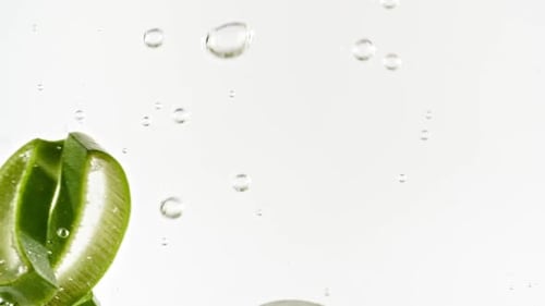 Aloe Vera Slices Falling into Water