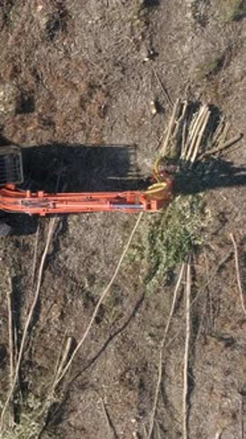 Aerial View Green Forest Deforestation