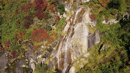Herbstwald und Wasserfall