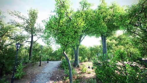 Serene Forest Pathway Under Green Canopy 4K