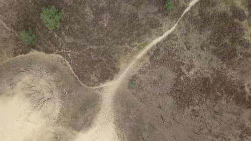 Aerial top-down view of the dry sand dune in the Netherlands.