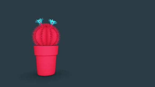 Cactus Pink On Gray