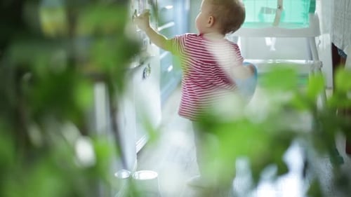 Baby plays with magnet on the fridge. Camera stealthily spying through the grass. Infant plays at ho