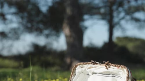 Basket in the forest on the grass, Easter eggs all fell out of it.