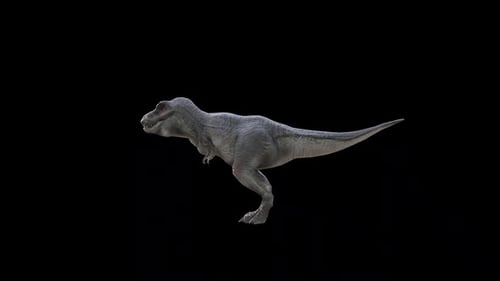 Tyrannosaurus Rex Looking Around Loop