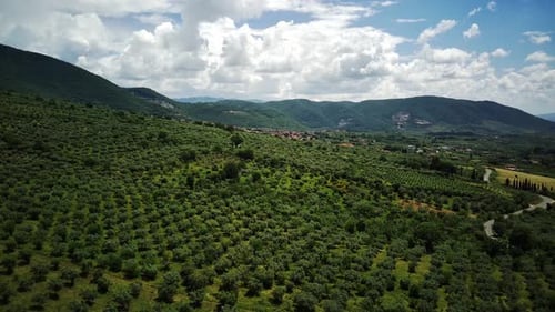 Aerial Flight Over Typical Rural Landscape and Road Italy